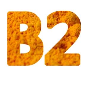 vitamin b2 Riboflavin