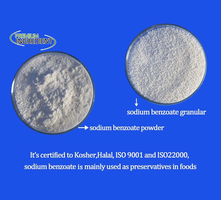 CAS NO. 532-32-1 Sodium Benzoate Food Preservative odorless